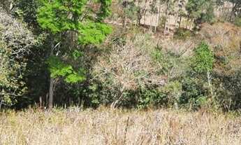 Imagem 2: Terreno 5 Hectares Entre Rios de Minas