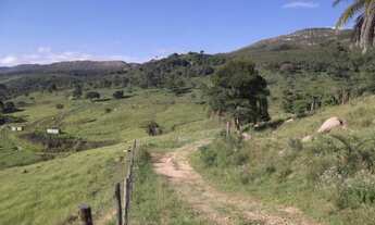 Imagem 3: Fazenda de 1.200 ha na região de Taquaraçu de Minas, Jaboticatubas (Temos varias opções)