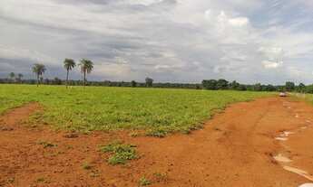 Imagem: Fazenda de 265 Alqueires vale do Araguaia