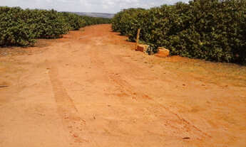 Imagem 6: FAZENDA ALTAMENTE PRODUTIVA COM 470HECTARES, CAFE E SOJA IRRIGADA!!
