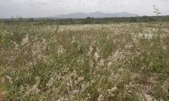 Imagem 3: Lotes 40x40 com parcelas fixas próximo a Surubim