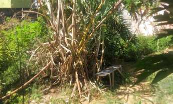 Imagem 2: Terreno à venda, Terra Preta (Terra Preta), Mairiporã, SP