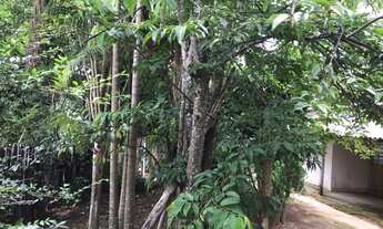 Imagem 7: Chácara Chácara com venda por R$180.000