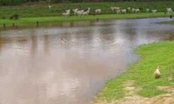 Imagem 2: FAZENDA DE 355 HECTARES EM PLÁCIDO DE CASTRO/ ACRE