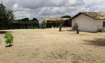 Imagem 7: Fazenda na região de monte alegre com 210 hectares