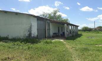 Imagem 3: Fazenda com 290 hectares entre Macaíba e são Pedro do Potengi