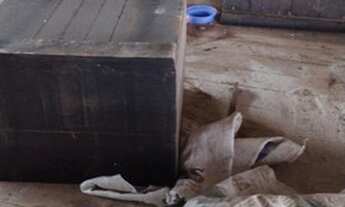 Imagem 4: Carroceria Galpão / depósito com venda por R$16.000