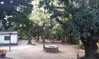 Imagem 5: Chácara/Terreno ótima localização