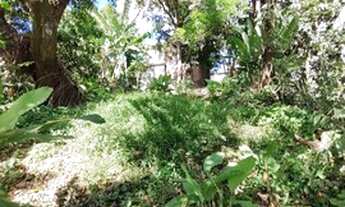 Imagem 6: Vende-se esta casa