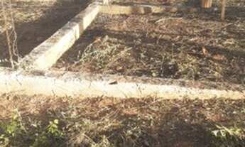 Imagem 3: Chácara Chácara com venda por R$55.000