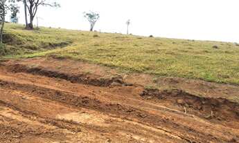 Imagem 2: A13- Lotes/Terrenos próximos ao Parque Municipal Edmundo Zanoni