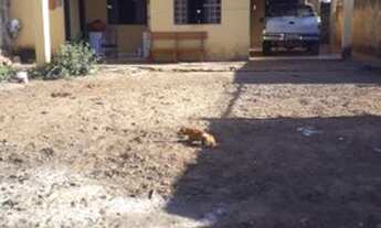 Imagem: Vende se uma casa aceitamos proposta