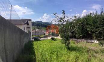 Imagem 4: Terreno pronto para construir