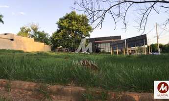 Imagem 2: Terreno (terreno normal