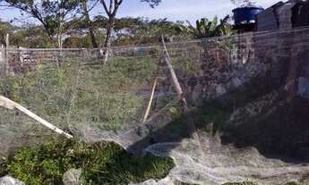 Imagem 3: Terreno em área seca