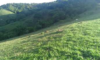 Imagem 7: Chácara de 3 alqueires e 60 litros para cria