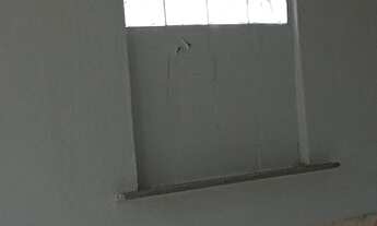 Imagem 9: Alugo apto Vicente de carvalho Com carência de aluguel