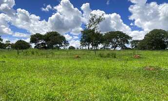 Imagem 4: Chácaras em prof jamil