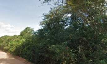 Imagem 5: Terreno 92mil M2 Frente a Pista