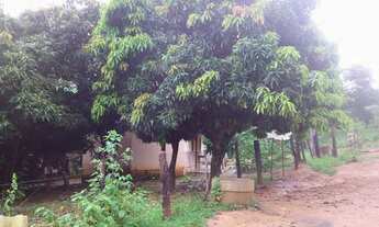 Imagem 7: Sitio 11 Hectares!! Poço Próprio!!Pastagem!!Casa Sede!!!20 km MAJOR PRATES!!