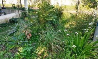 Imagem 6: Chacara espetacular com vagas para 6 carros