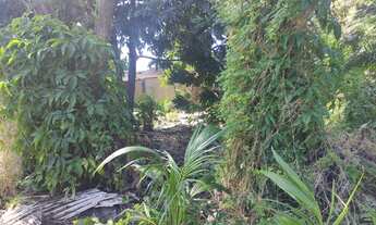 Imagem 3: Lote/Terreno para venda possui 342 metros quadrados em Campina do Barreto - Recife - PE