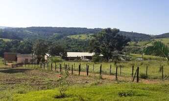 Imagem 6: Excelente Sítio 13,5 Alqueires