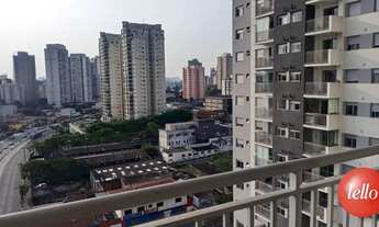 Imagem 4: São Paulo - Apartamento Padrão - Jabaquara