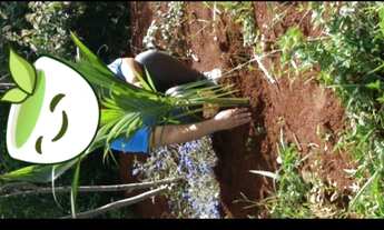 Imagem 5: Vende-se um lote 1.000 metros