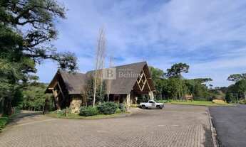 Imagem: Canela - Terreno Padrão - Pinheiro Grosso