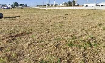 Imagem 4: Terreno Bosque do Imperador