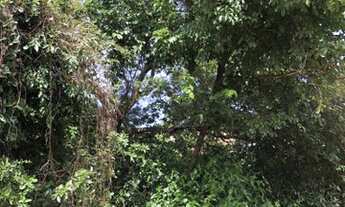 Imagem 2: Esquina na Praia da Pipa - ótimo preço!