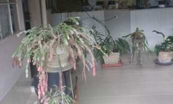 Imagem 6: Jaboticatubas - Casa de Condomínio - Condomínio Vale Do Luar