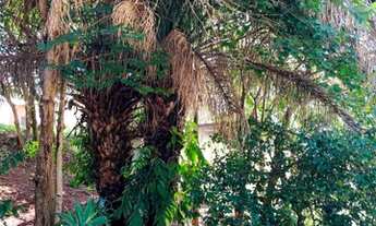 Imagem 7: CHÁCARA EM CONDOMINIO FECHADO