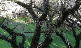 Imagem 7: Apartamento em Teresópolis