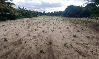 Imagem 5: Sítio Chácara com venda por R$235.000