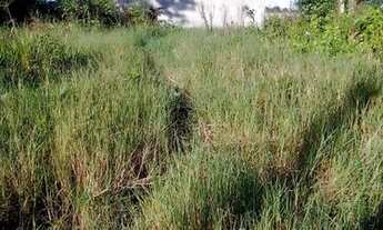 Imagem 3: Excelente terreno em Igarassu