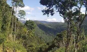 Imagem 4: Vendo sítio anitápolis SC 3000 m 40 de frente 75 de fundo