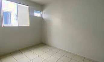 Imagem 5: Paradiso Anturio | Campos Salles