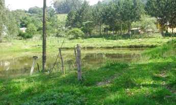 Imagem 3: CAPELA DE SANTANA - Terreno Padrão - Imigrantes