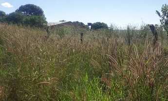 Imagem 3: Excelente oportunidade!! Vendo ótimo lote ao lado de igreja em nova Petrópolis-GO