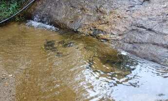 Imagem: Sitio a venda