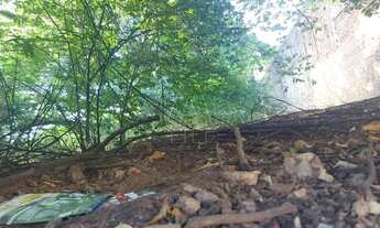 Imagem 4: Araçatuba - Lote/Terreno - Dona Amélia