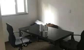 Imagem 5: São Paulo - Casa Comercial - Tatuapé