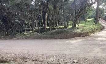 Imagem 4: CHÁCARA com 1 dormitório à venda com 642507m² por R$ 4.160.000,00 no bairro PAPANDUVA - BO