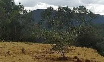 Imagem 2: Vendo sítio anitápolis SC 3000 m 40 de frente 75 de fundo