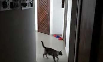 Imagem 5: Apartamento Locação Vila Madalena 105 m² 3 Dormitórios