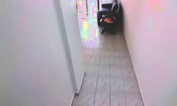 Imagem 7: Apartamento para aluguel com 58 metros quadrados com 1 quarto em Jardim Las Palmas - Guaru