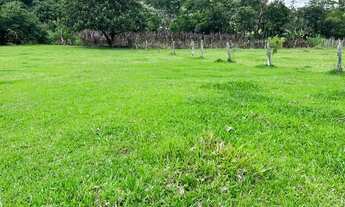 Imagem 5: DB- Vendo Terreno para você de Guarulhos