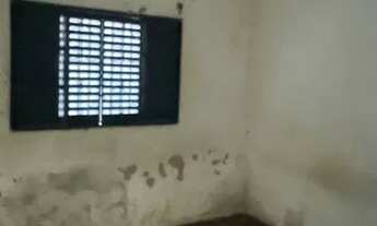 Imagem 5: Casa jardim Zara